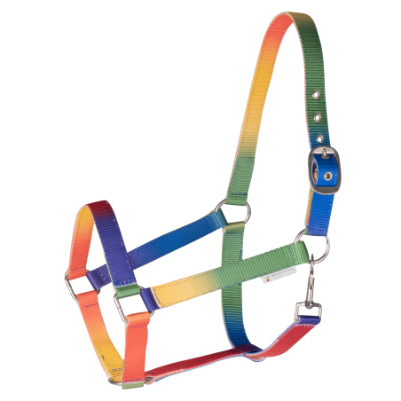 Cabresto Waldhausen Arco-íris