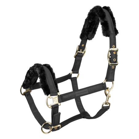 Caveção Waldhausen Exclusive