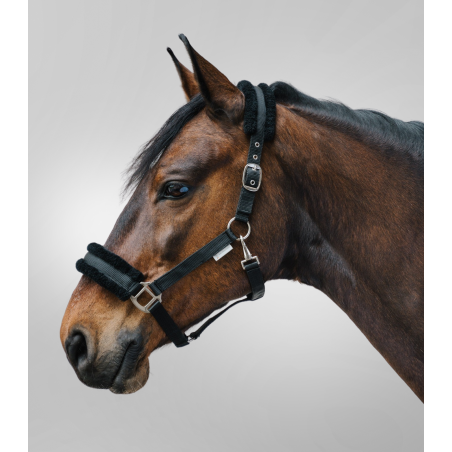 Caveção Waldhausen First