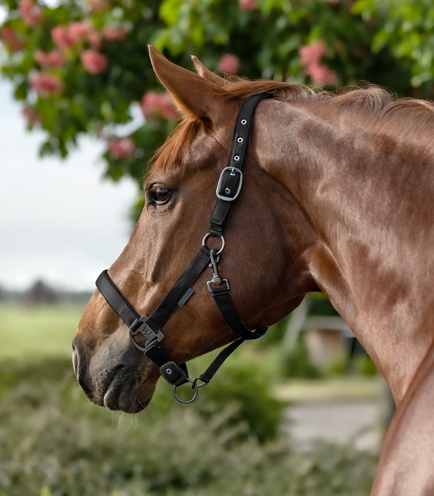 Caveção Waldhausen Gloomy Preto