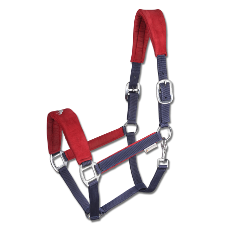 Caveção Waldhausen Island Hellnar