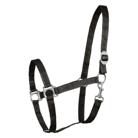 Cabeçada Waldhausen Perlon