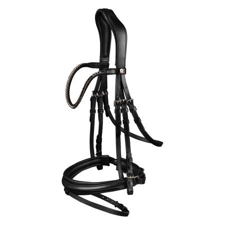 Bridão favorito Waldhausen X-Line