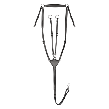 Peitoral Waldhausen Professional X-Line