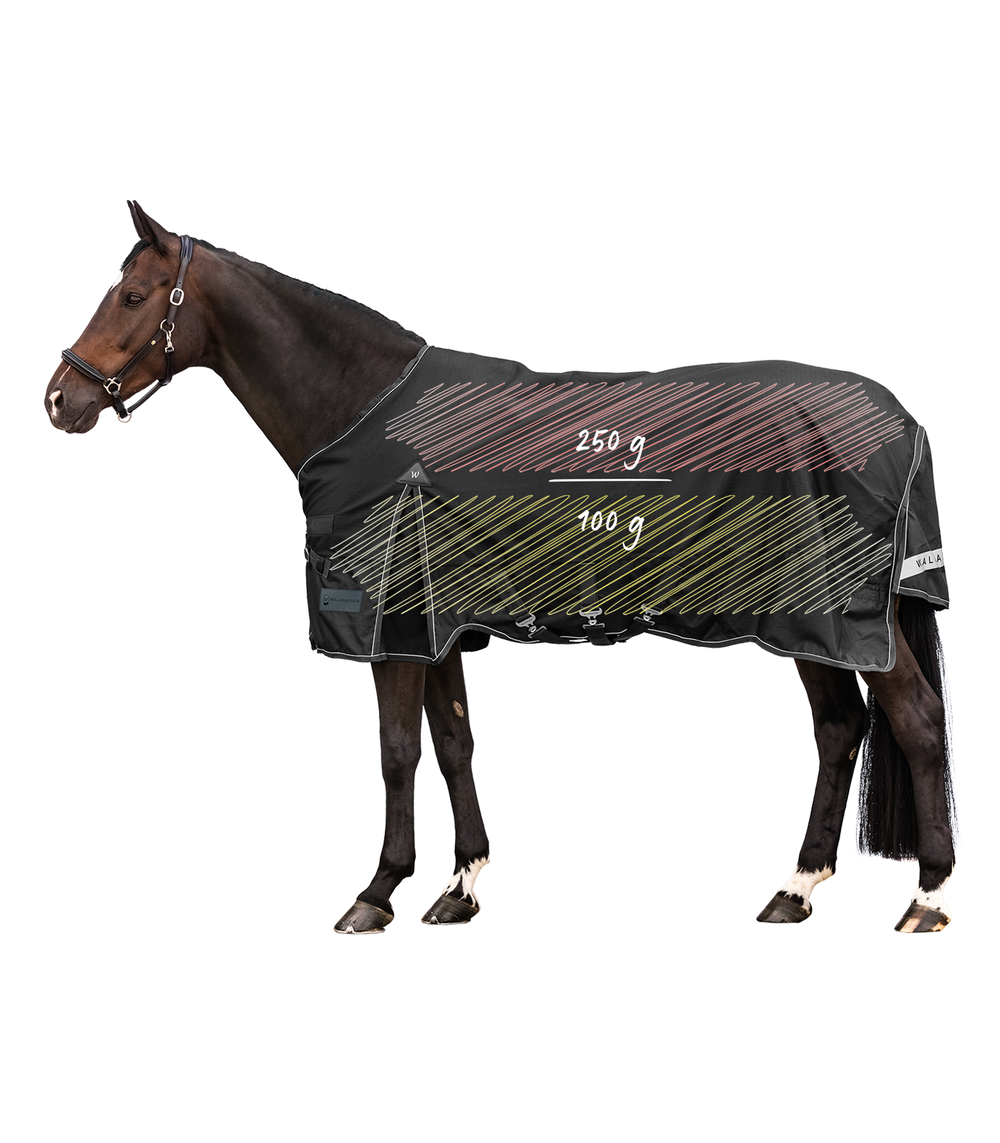 Capa de exterior Waldhausen Scandic Multi-Layer 250 g / 100 g Preto