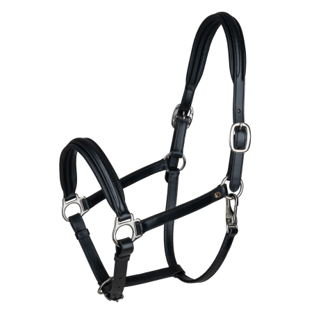 Cabeçada de couro Waldhausen Classy X-Line