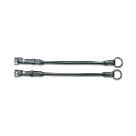 Montantes de bridão Wembley Waldhausen