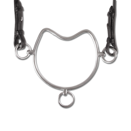 Mors antiempinamento Waldhausen