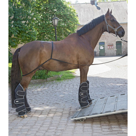 Rampa Waldhausen caminhão