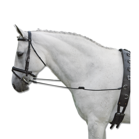 Rendas fixas Waldhausen Elásticas