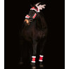 Conjunto de Natal Waldhausen cavalo - Vermelho