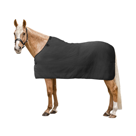 Subcobertura polar Waldhausen