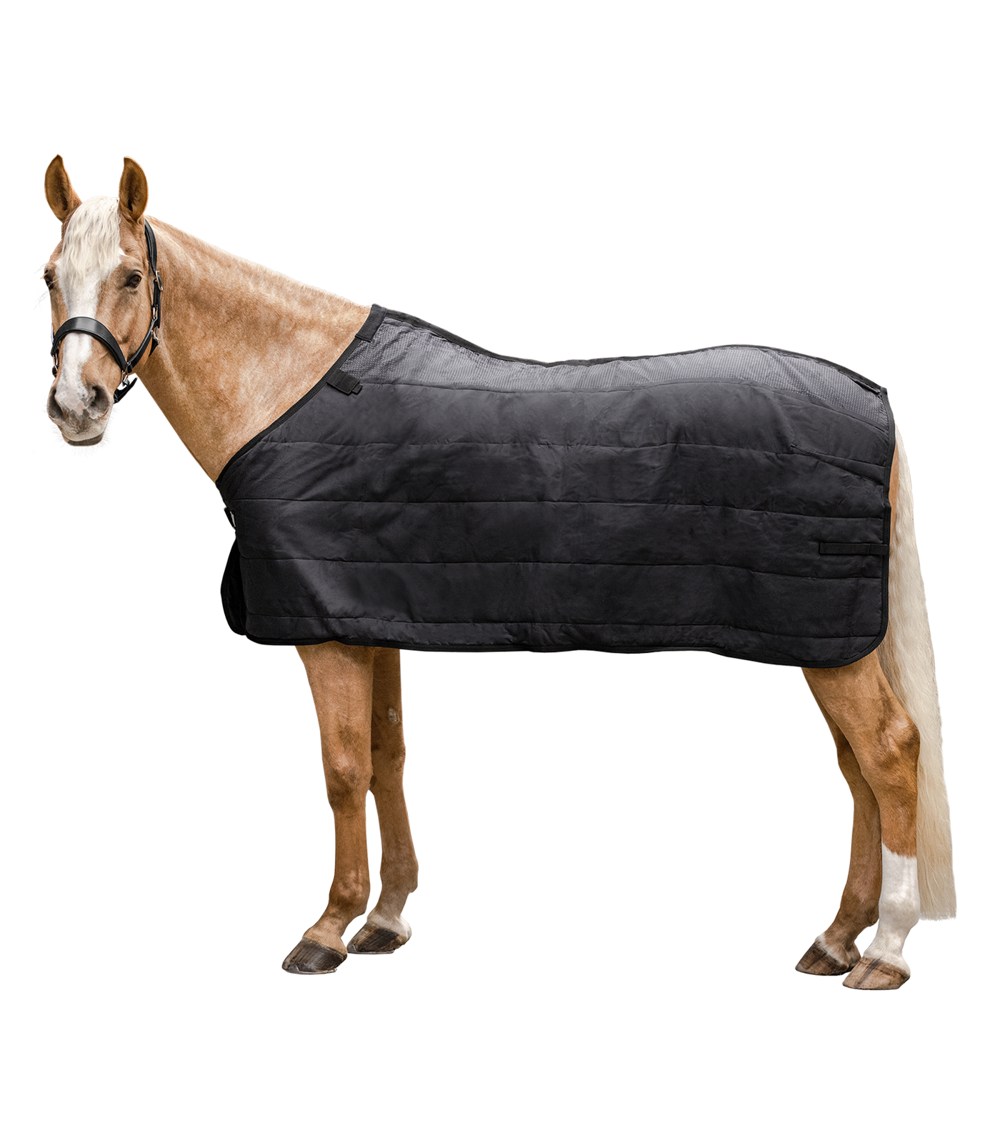 Subcobertura térmica Waldhausen 200 g Preto