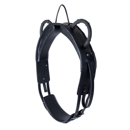 Cilha de volteio Waldhausen