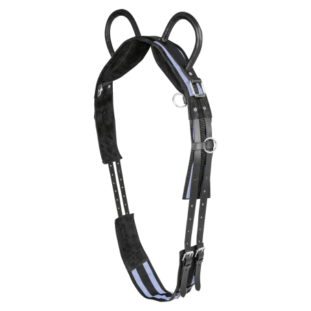 Cilindro Waldhausen 2 alças