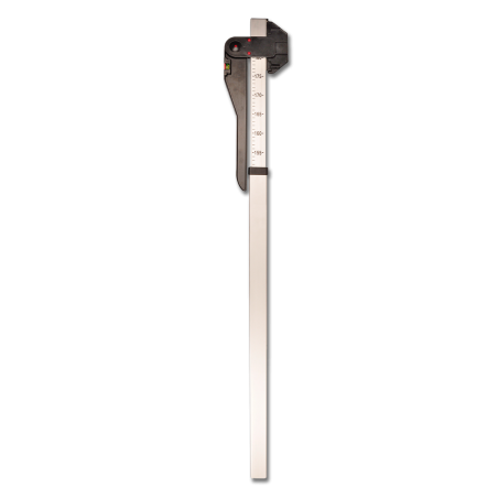 Toise Waldhausen cavalo