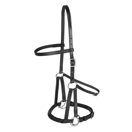 Bridão sem embocadura Linda Tellington-Jones