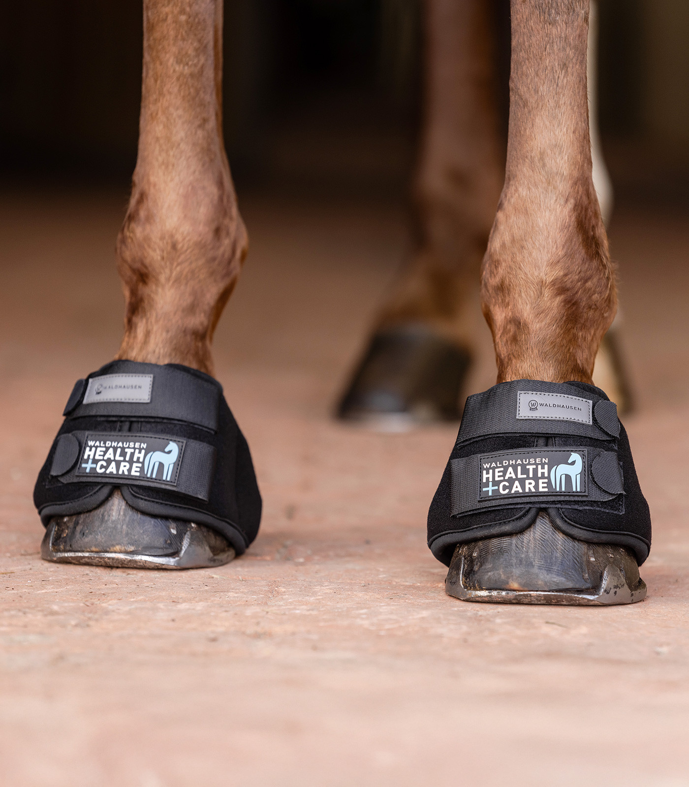 Sinos refrescantes Waldhausen Health + Care Preto Sinos refrescantes Waldhausen Health + Care Preto