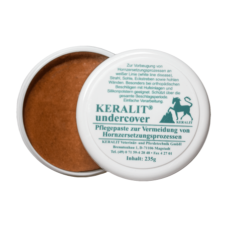 Manutenção do garfo Keralit