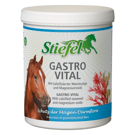 Gastro Vital Stiefel