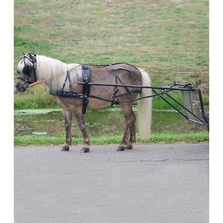 Arnês Star simples Econômico pônei shetland