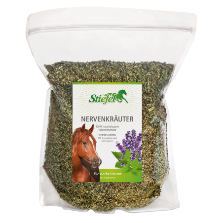 Ervas sistema nervoso Stiefel