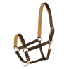 Cabresto de couro Star Diamond - Castanho / dourado