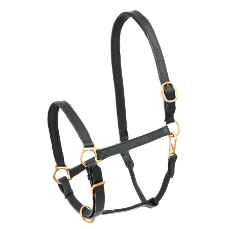 Cabresto de couro Star Robust