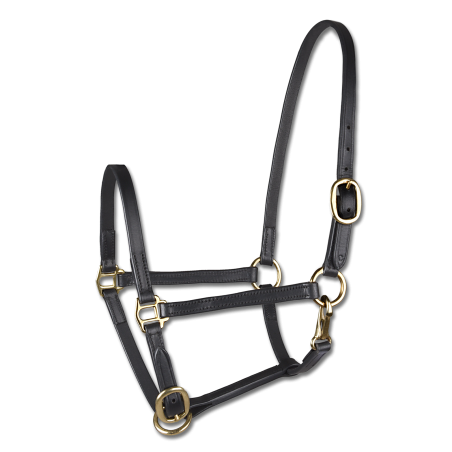 Cabresto de apresentação em couro Star para potro