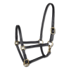 Cabresto de apresentação em couro Star para potro - Preto
