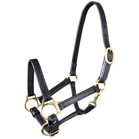 Caveção de couro Star para potro