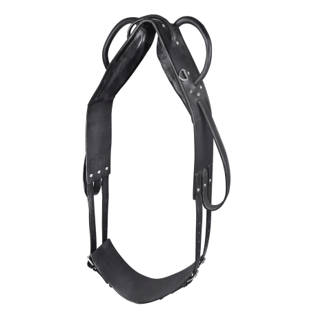 Cilheira Star para volteio e trabalho à guia