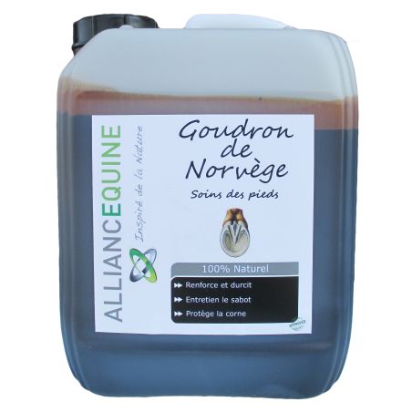 Alcatrão da Noruega Aliança Equina