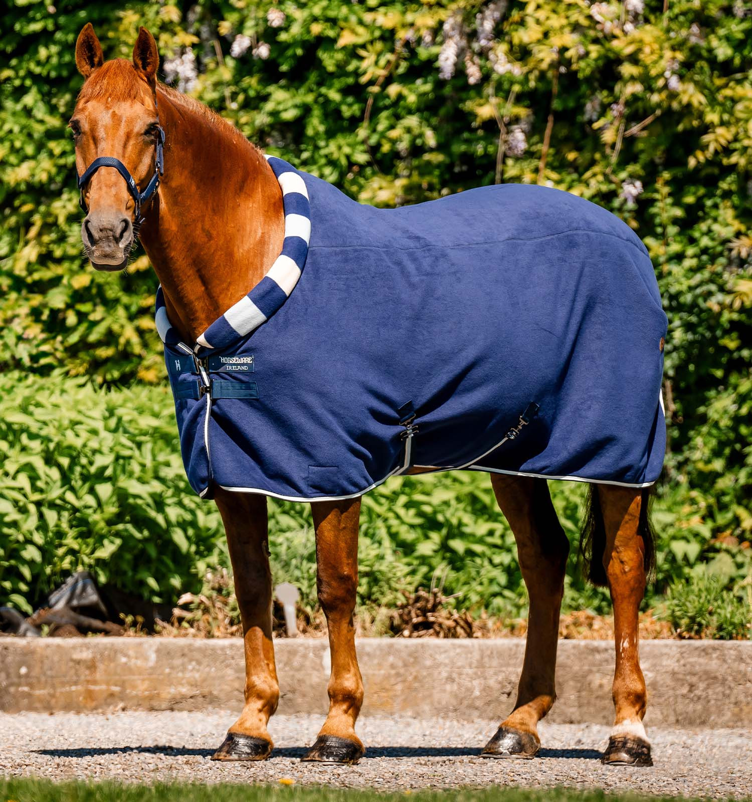 Manta polar Horseware Newmarket Cosy Fleece Cooler Marine witney Azul-marinho