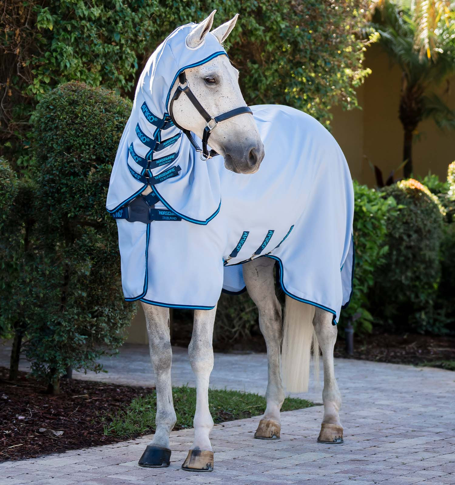 Capa antialérgica Horseware Amigo Ripstop Azul azul / Marinho / azul elétrico Capa antialérgica Horseware Amigo Ripstop Azul azul / Marinho / azul elétrico