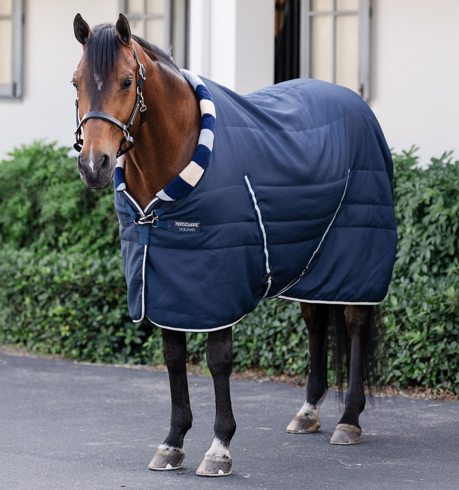 Cobertura de estábulo Horseware Newmarket Cosy 400g Marine witney Azul-marinho Cobertura de estábulo Horseware Newmarket Cosy 400g Marine witney Azul-marinho