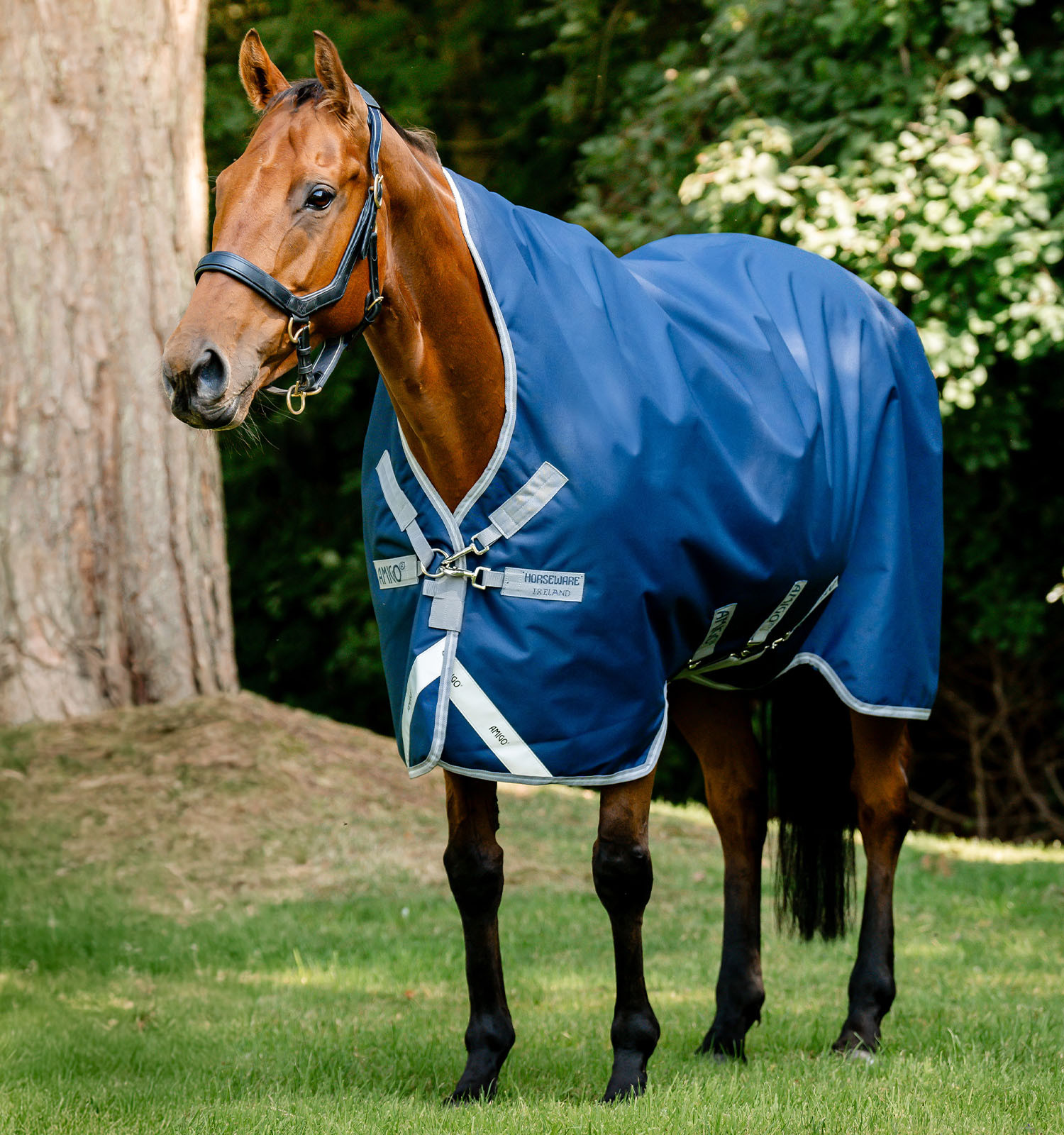 Capa Horseware Amigo 1200D Wug Turnout 50g Marinho / cinza titânio / prata Azul-marinho