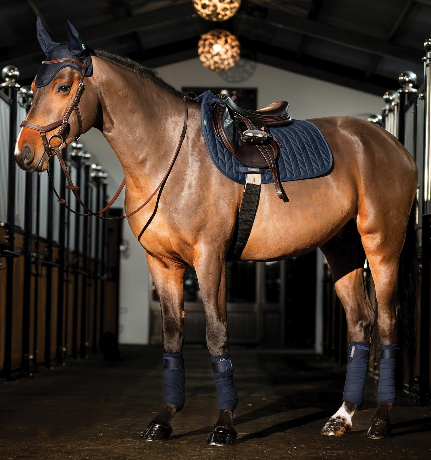 Touca anti-moscas Horseware Amigo Earnet Marinho Azul-marinho