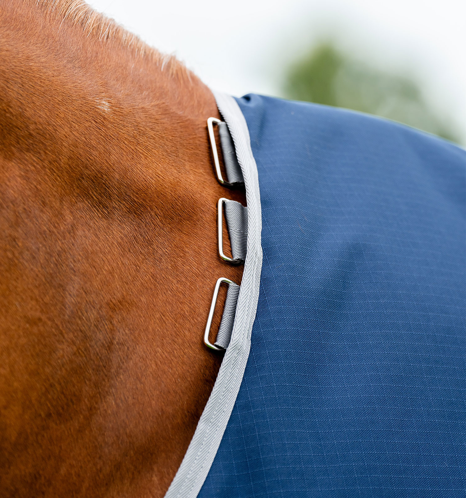 Halsabdeckung Horseware Reißfest Amigo® 900D Leicht 0g Marinho / cinza titânio Azul-marinho Halsabdeckung Horseware Reißfest Amigo® 900D Leicht 0g Marinho / cinza titânio Azul-marinho