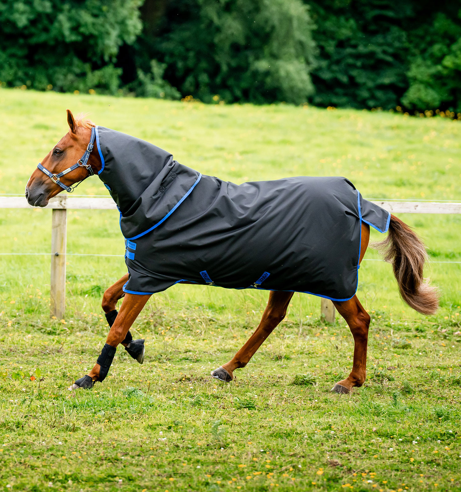 Cobertura Amigo Ripstop Horseware 900D Plus Turnout 200g Marinho / cinza titânio Azul-marinho