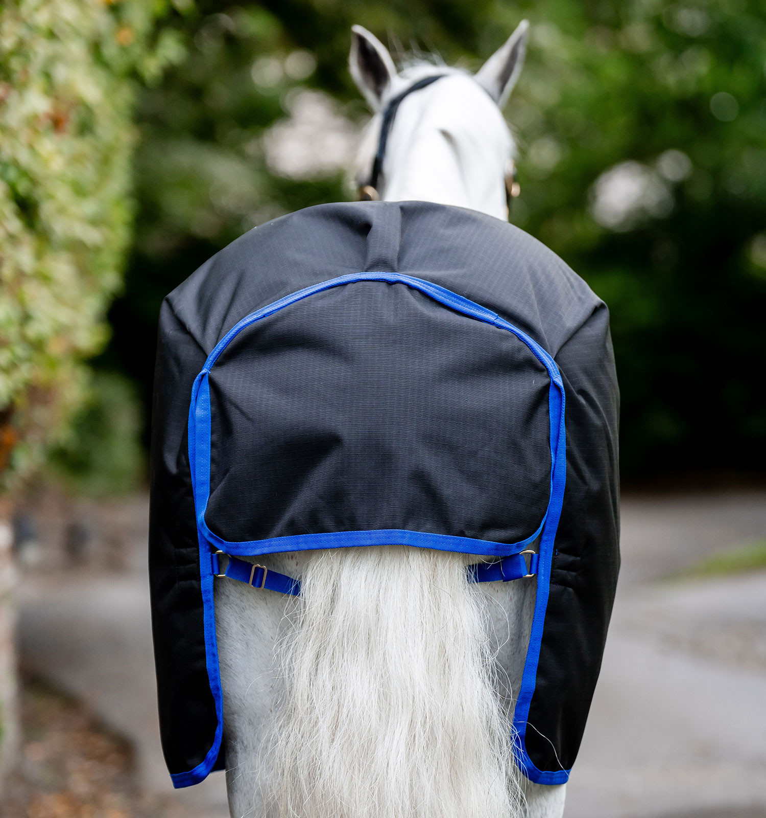 Capa Amigo Ripstop Horseware 900D Turnout 0g Preto / azul clássico Capa Amigo Ripstop Horseware 900D Turnout 0g Preto / azul clássico