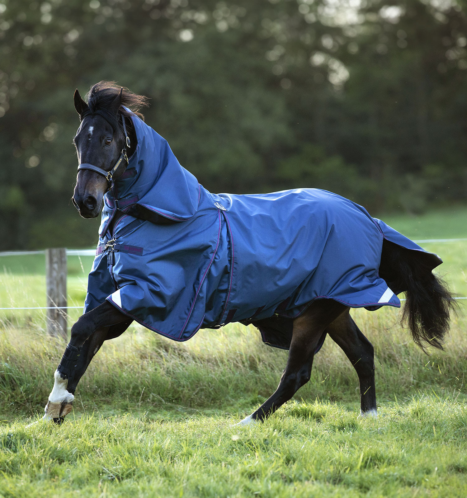 Cobertura Horseware Rambo Optimo Bundle 0g + Liner 200g Marinho / bordô Azul