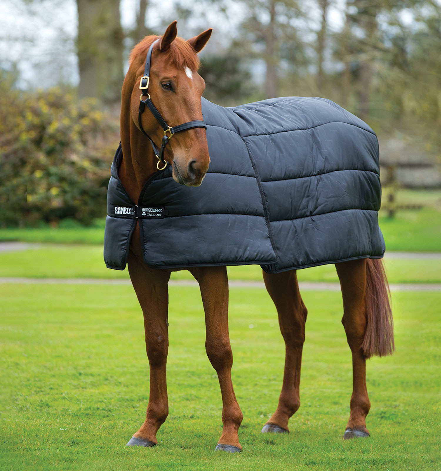 Forro Horseware 0g Rambo Optimo Preto / preto