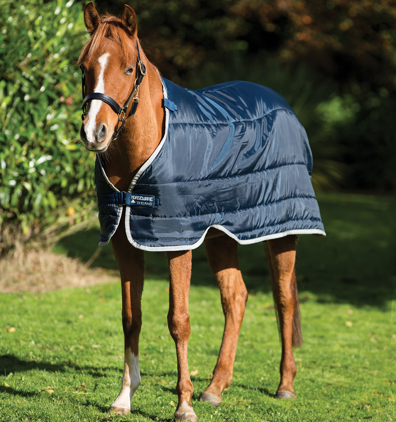 Forro Horseware pônei 100g Marinho / prateado Azul