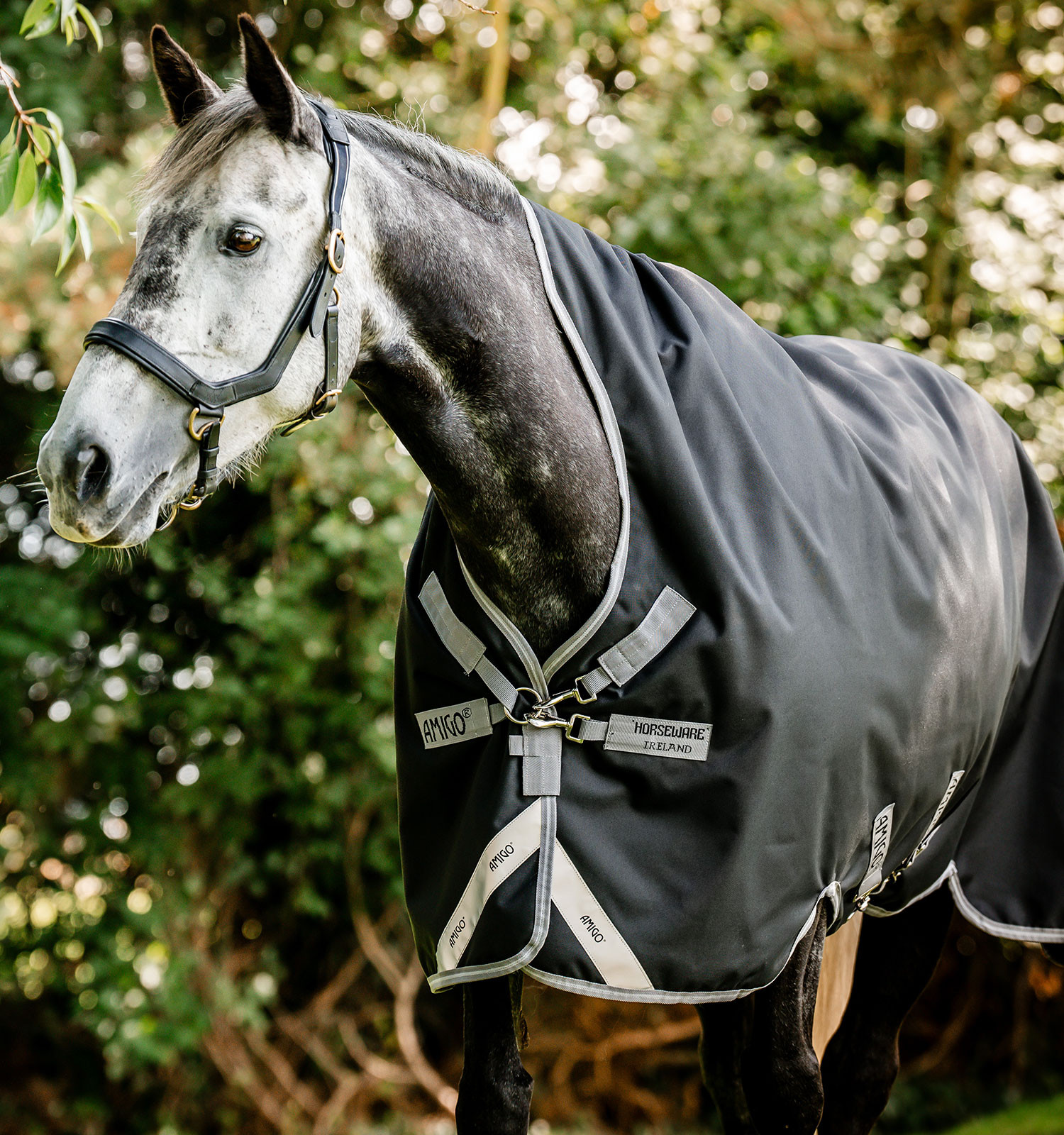 Cobertura Horseware Amigo Bravo 12 Wug 400g Preto / cinza titânio / prata