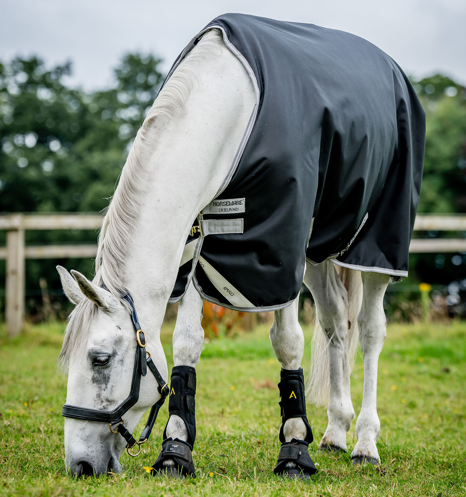 Capa Horseware Amigo Bravo 12 50g Turnout Preto / cinza titânio / prata