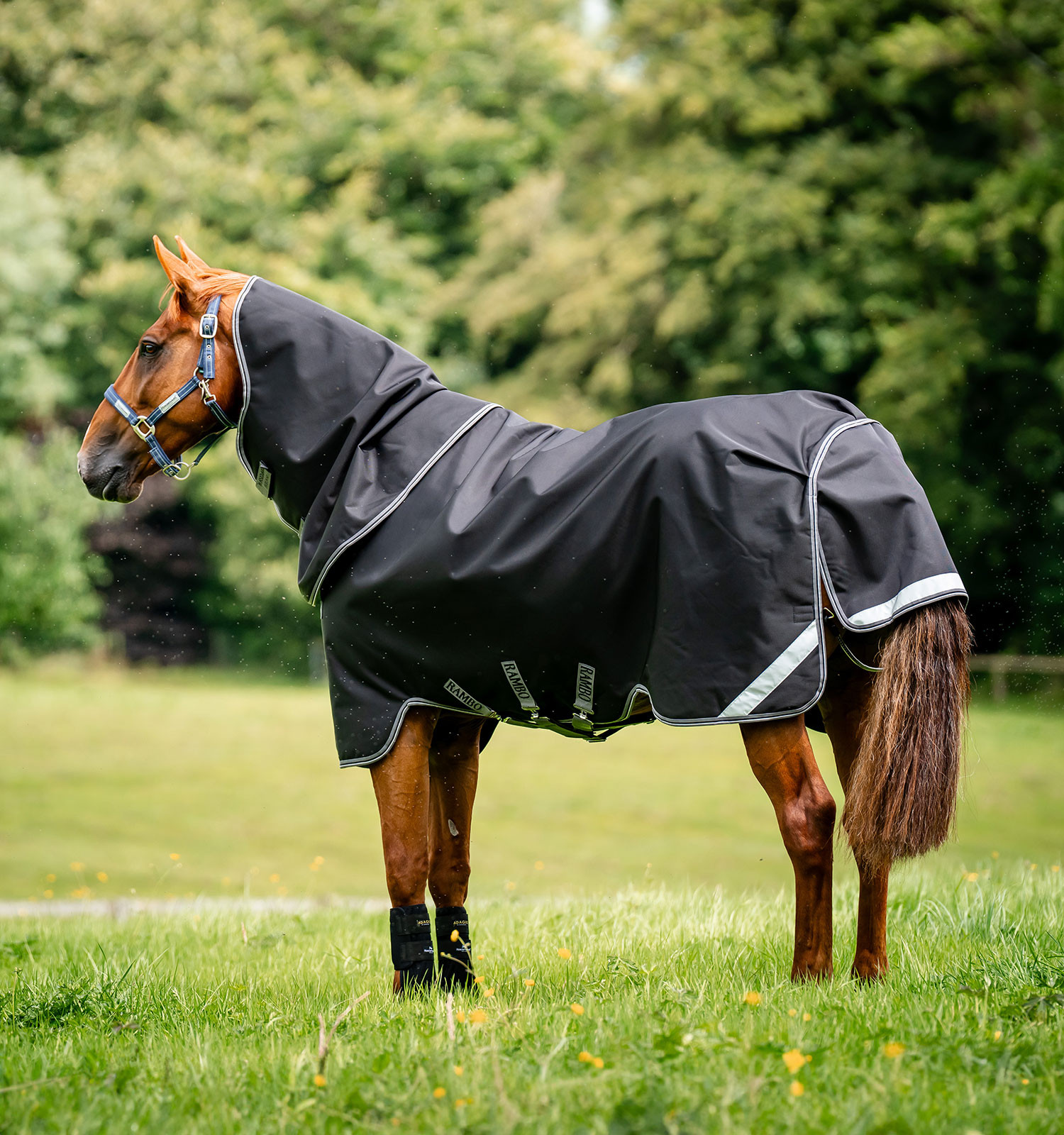 Cobertura Horseware Rambo Supreme 1680D Turnout 0g Cobertura Horseware Rambo Supreme 1680D Turnout 0g