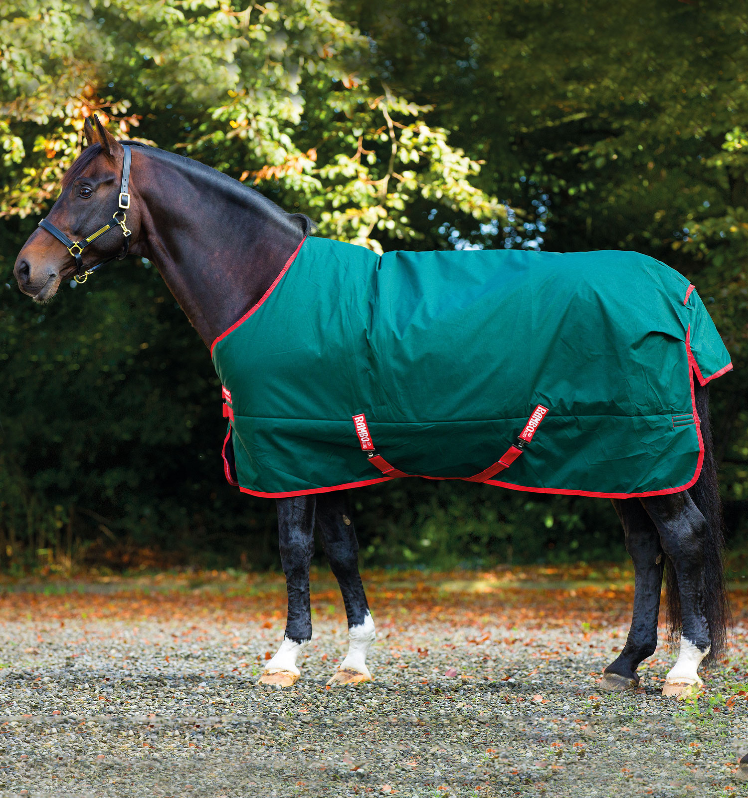 Capa de exterior Horseware Rambo Original 0g Verde / vermelho Capa de exterior Horseware Rambo Original 0g Verde / vermelho