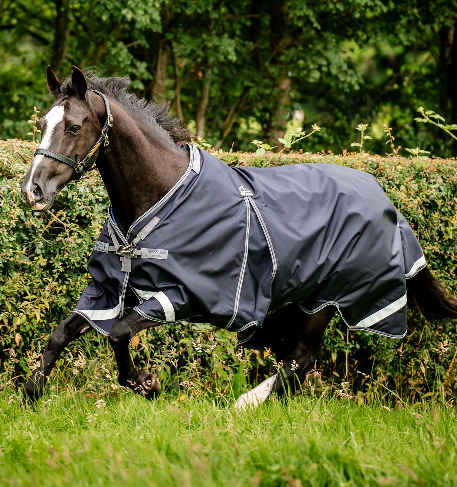 Coperta Horseware Rambo® Optimo Turnout 0g 1000D Azul-marinho