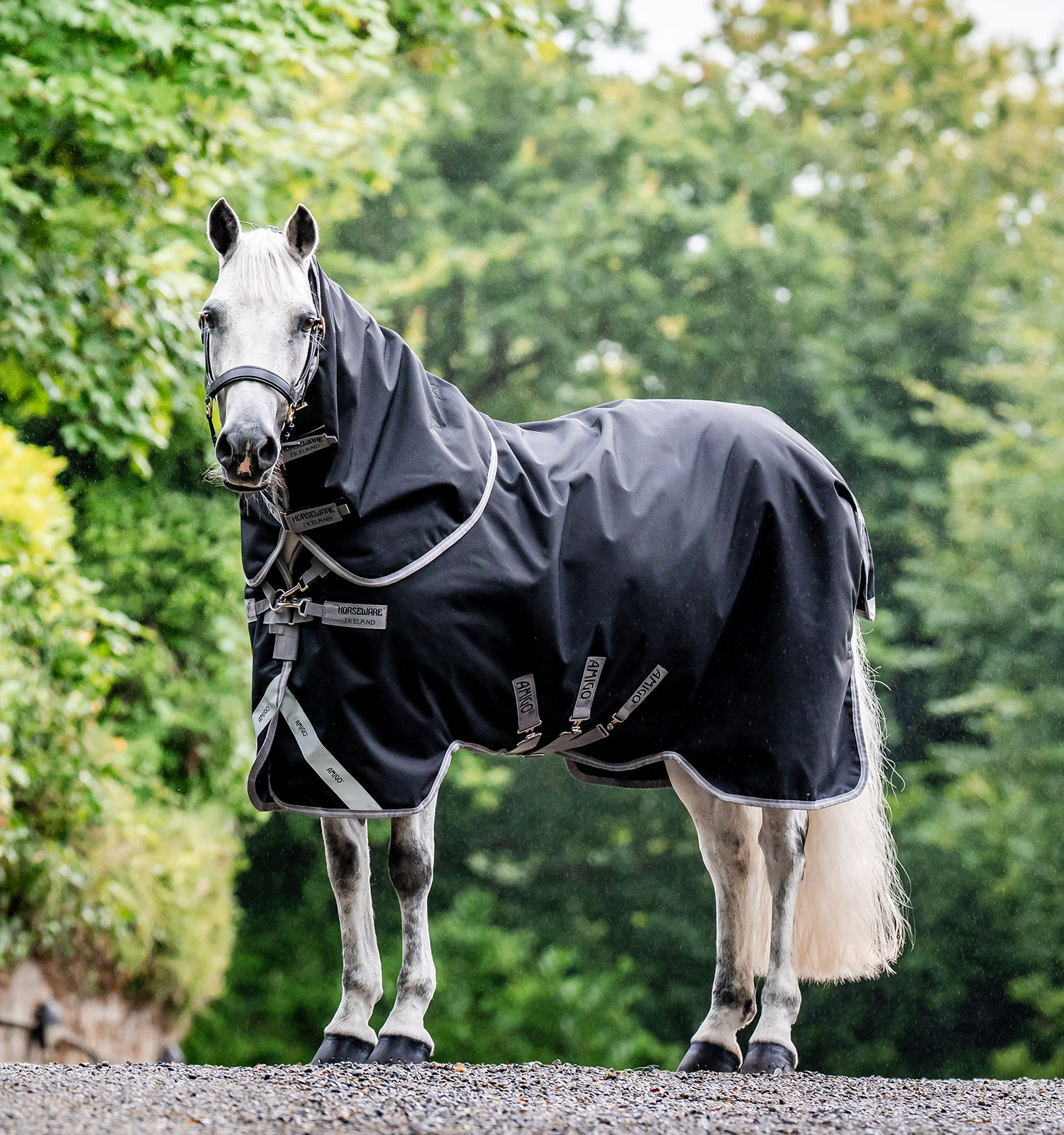 Cobre-pescoço Horseware Amigo® Bravo 12 Original 150g 1200D Cobre-pescoço Horseware Amigo® Bravo 12 Original 150g 1200D